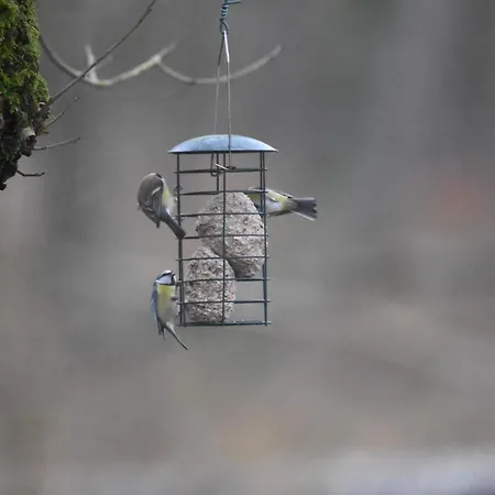 Feriehus Le Moulin De Charzay, Eco-gite Familial En Deux-sevres, Nouvelle Aquitaine