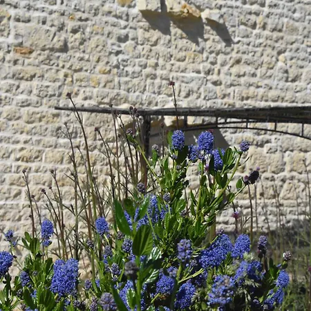 Le Moulin De Charzay, Eco-gite Familial En Deux-sevres, Nouvelle Aquitaine Melle (Deux-Sevres)