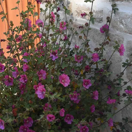 Le Moulin De Charzay, Eco-gite Familial En Deux-sevres, Nouvelle Aquitaine Mellé