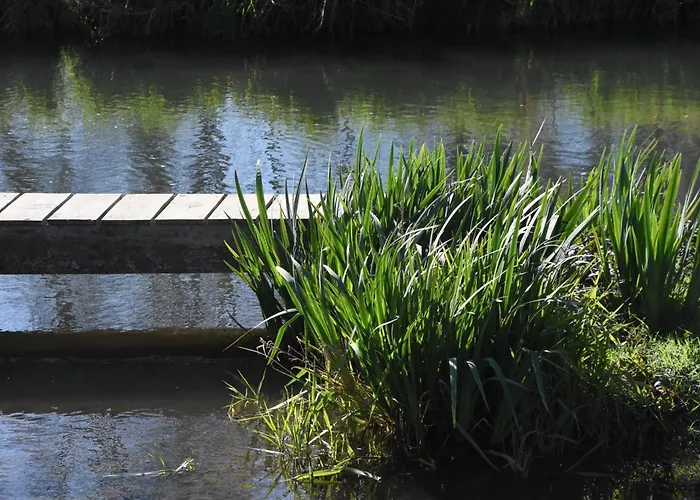 Le Moulin De Charzay, éco-gîte Familial En Deux-sèvres, Nouvelle Aquitaine Сasa de vacaciones