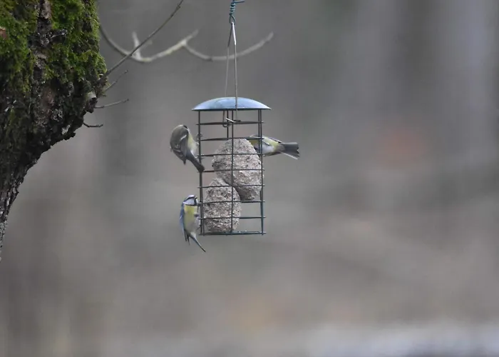 Сasa de vacaciones Le Moulin De Charzay, éco-gîte Familial En Deux-sèvres, Nouvelle Aquitaine