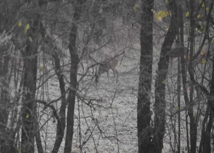 Le Moulin De Charzay, éco-gîte Familial En Deux-sèvres, Nouvelle Aquitaine Сasa de vacaciones *