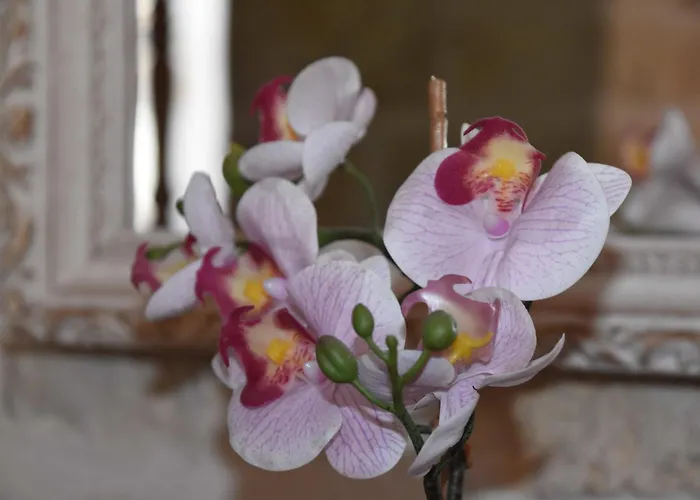 Le Moulin De Charzay, éco-gîte Familial En Deux-sèvres, Nouvelle Aquitaine Сasa de vacaciones *