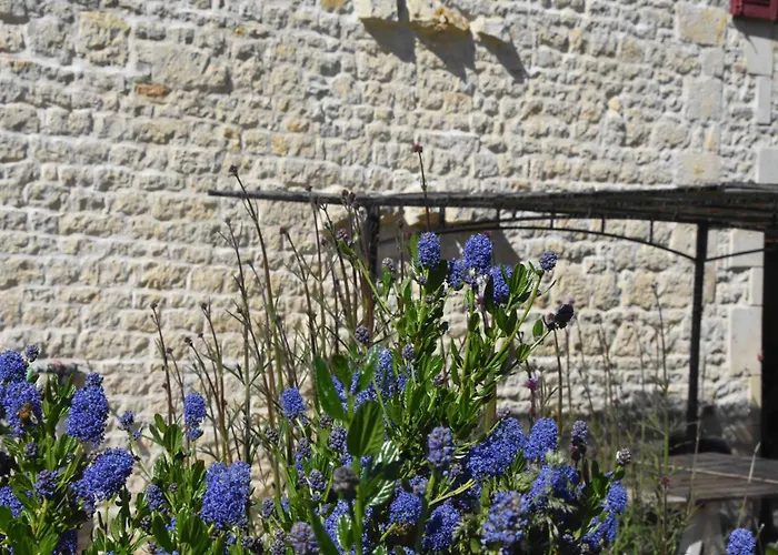 Le Moulin De Charzay, éco-gîte Familial En Deux-sèvres, Nouvelle Aquitaine Mellé