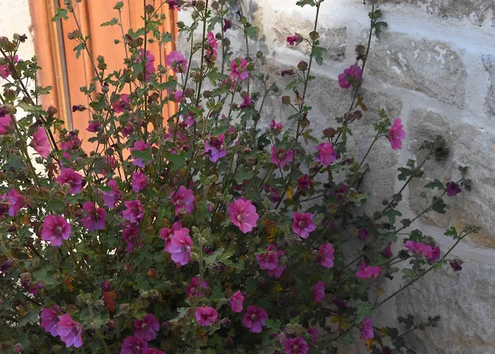 Le Moulin De Charzay, éco-gîte Familial En Deux-sèvres, Nouvelle Aquitaine Mellé